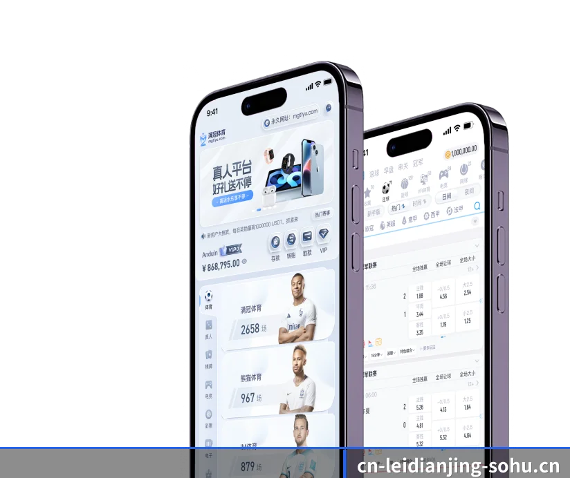 雷电竞 APP 界面
